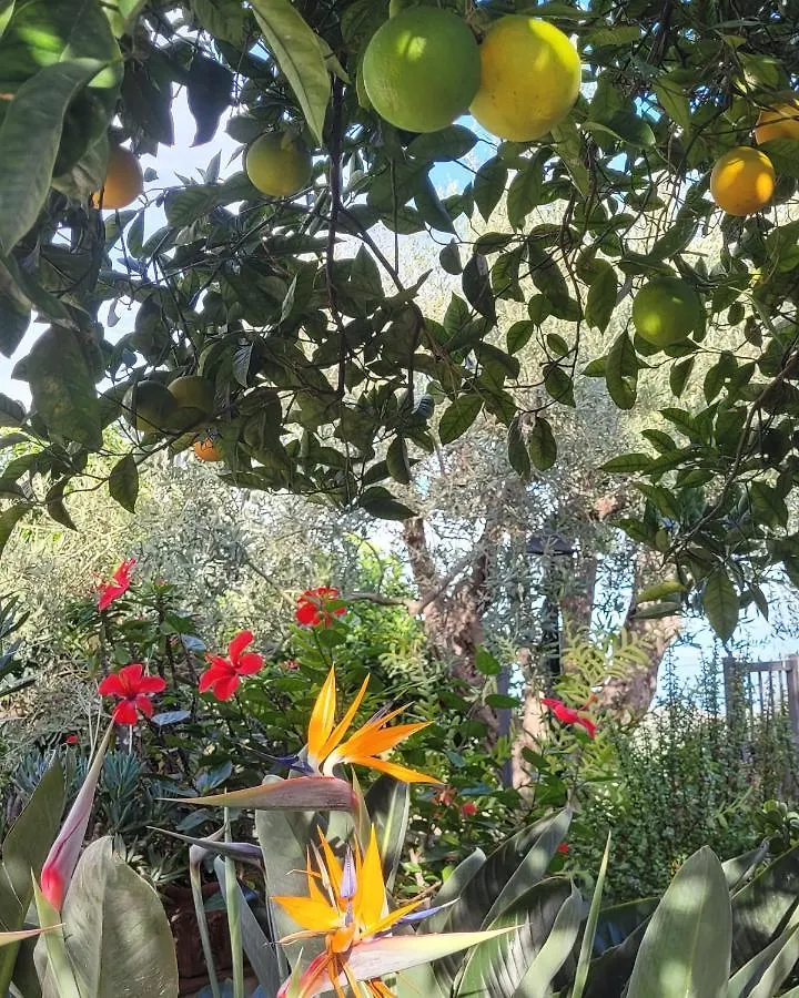 Bed and Breakfast Timpabella House Acireale Bed & Breakfast