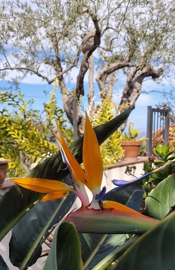 Timpabella House Bed & Breakfast Acireale 0*,  Italy