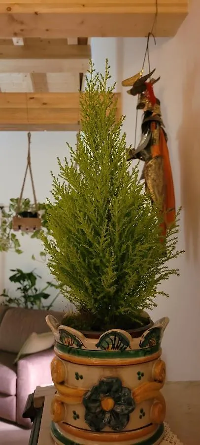 Timpabella House Bed & Breakfast Acireale Italy
